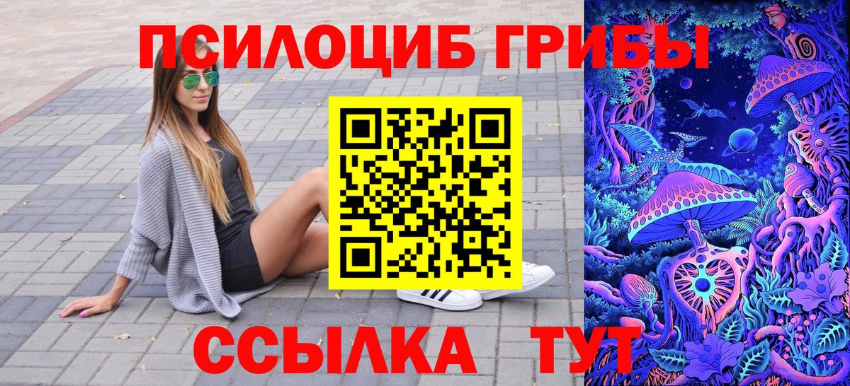 Галлюциногенные грибы GOLDEN TEACHER  Галлюциногенные грибы Psilocybine cubensis  Тында  Вход с VPN 